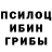 Галлюциногенные грибы Psilocybe David Landier