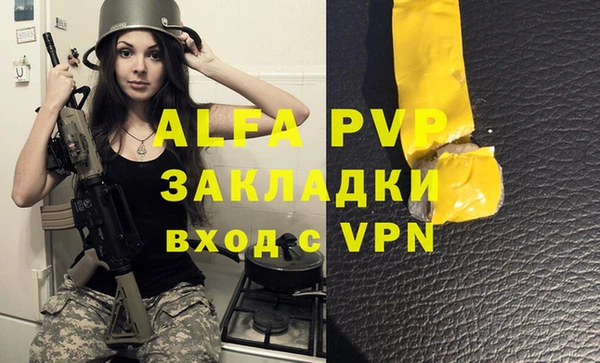 амф Алексин