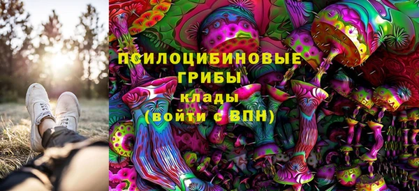 амф Алексин
